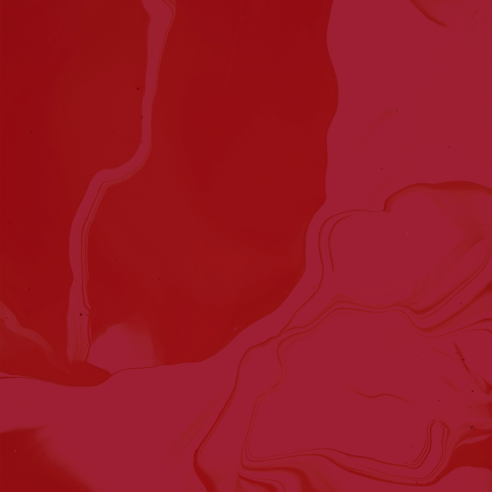 LUXE Berry Lip Mini Set