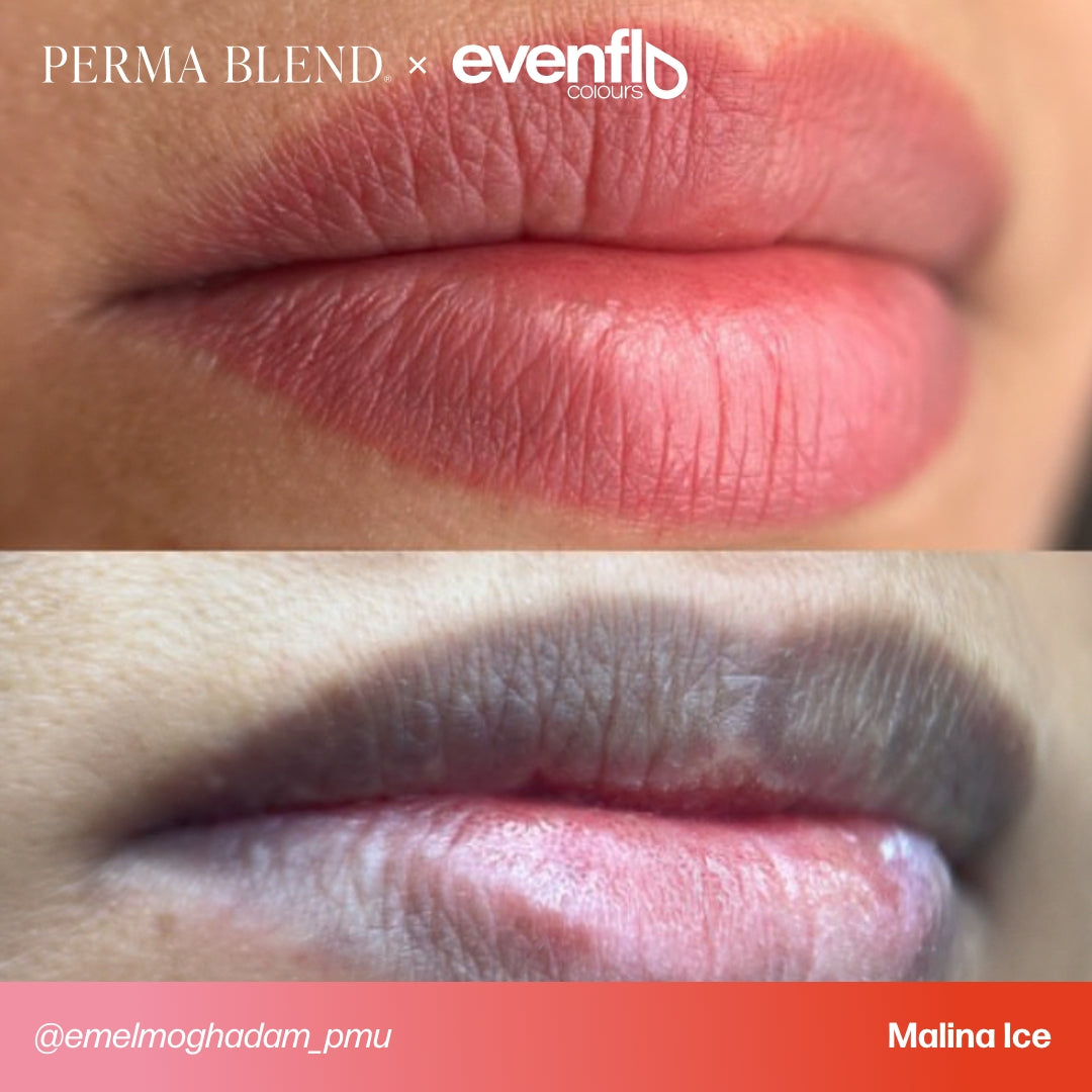 evenflo lip pigments Evenflo Malina Ice