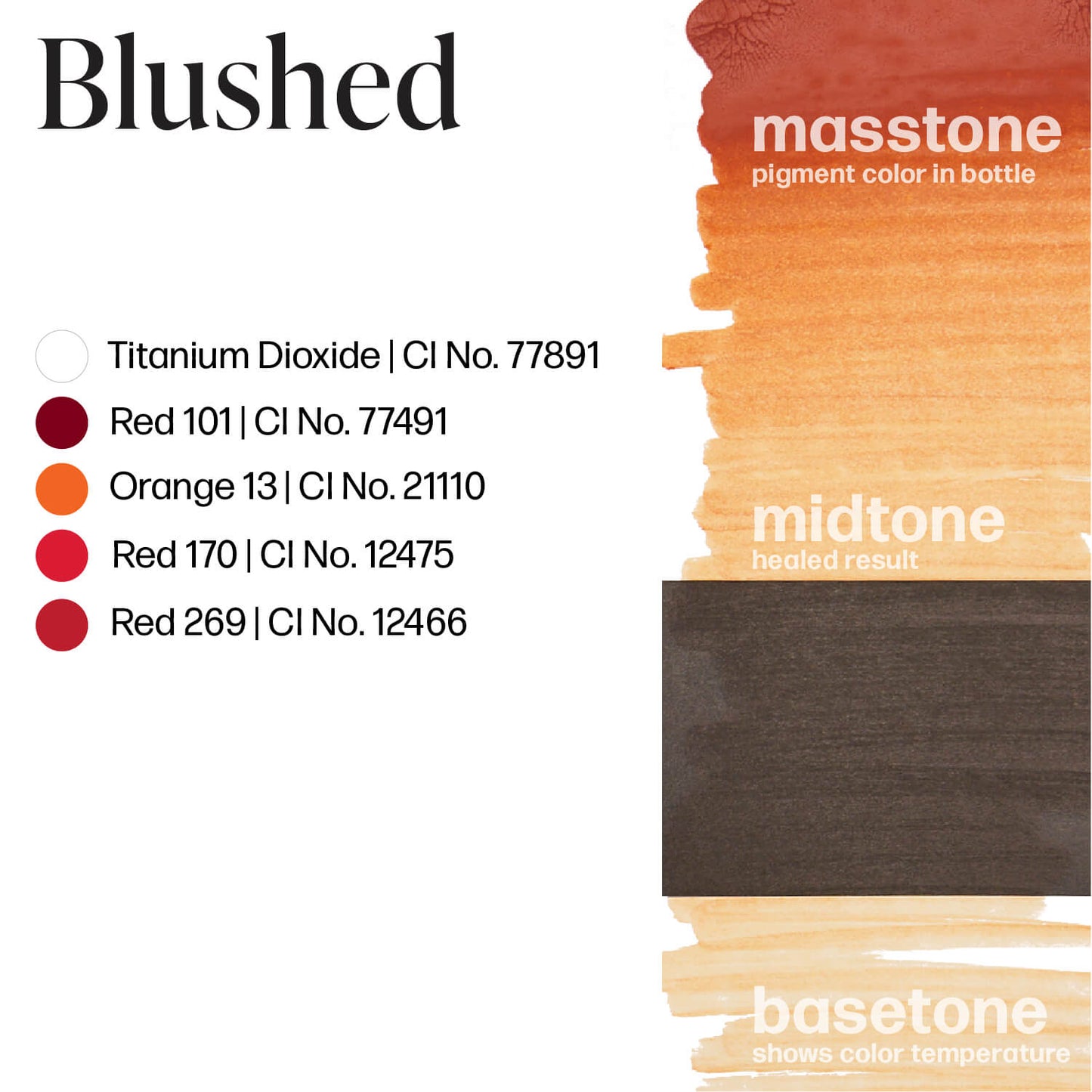 Perma Blend Blushed Lip Ink Masstone Midtone Basetone