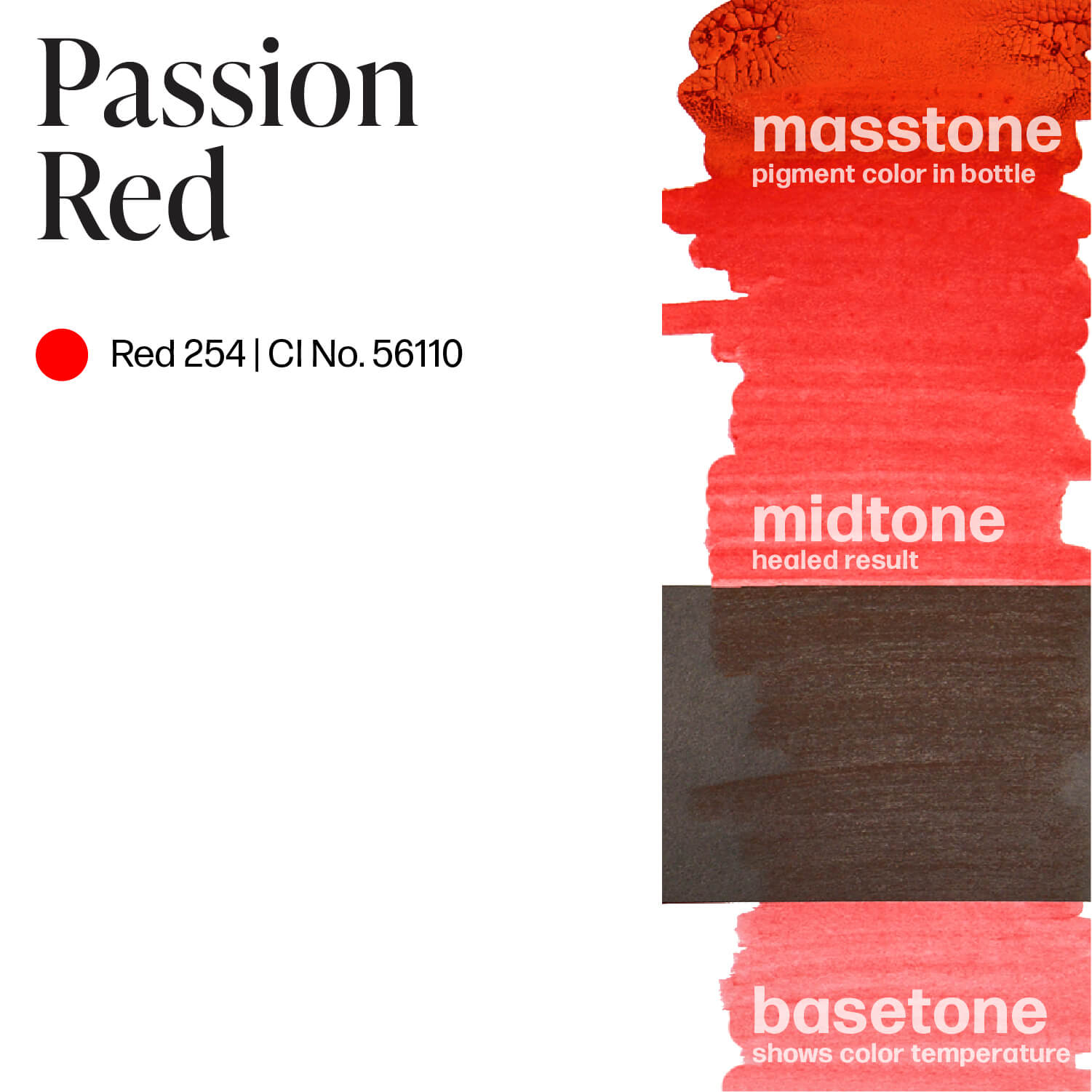 Perma Blend Passion Red Lip Blush Ink Drawdown Masstone Midtone Basetone