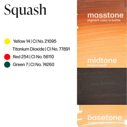 Perma Blend Squash Lip Blush Ink Drawdown Masstone Midtone Basetone