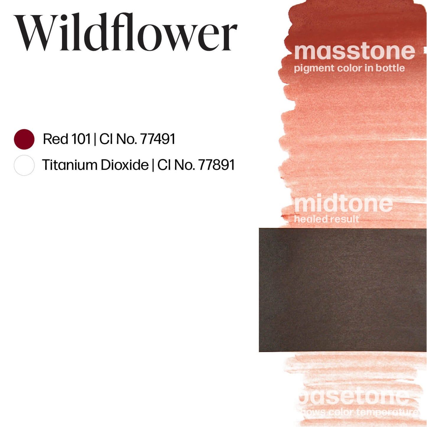 Perma Blend Wildflower Lip Blush Ink Drawdown Masstone Midtone Basetone